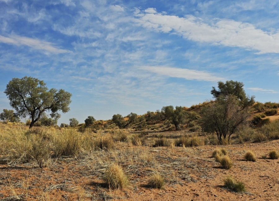 Commercial Property for Sale in Upington Rural Northern Cape